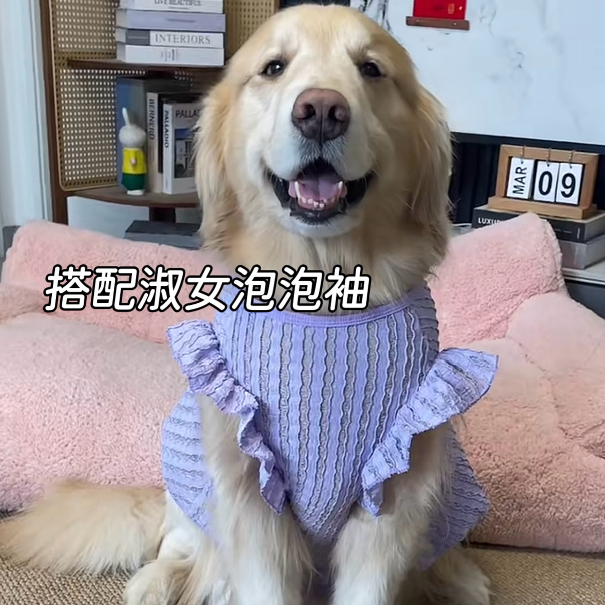Large dog clothes thin golden retriever Alaskan Labrador Samoyed big dog pet dress princess style