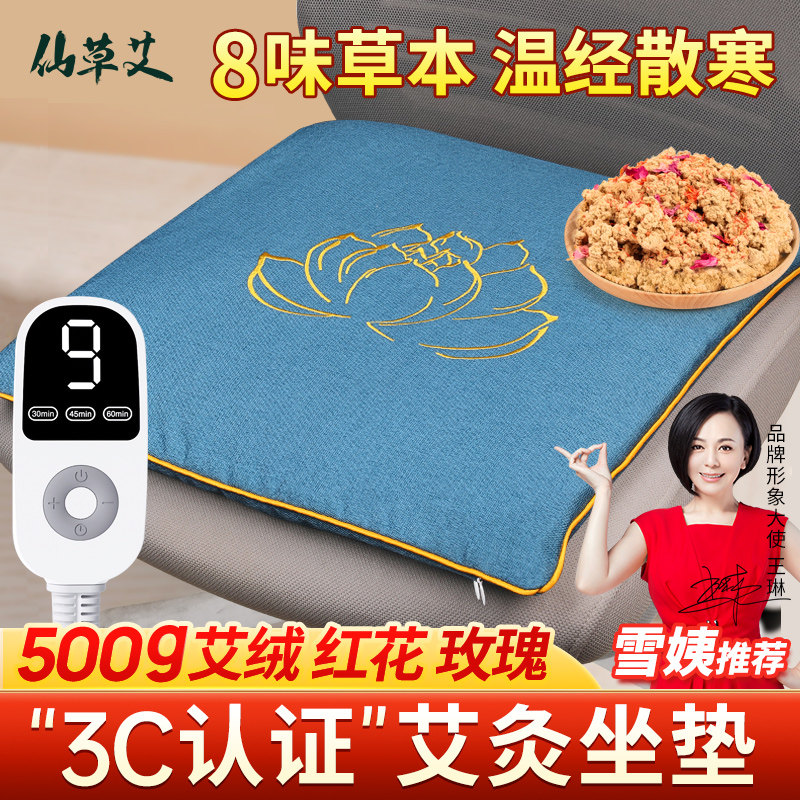 艾灸坐垫子电加热艾绒艾草热敷包毯发热办公室臀部屁股久坐暖屁垫,淘宝优惠券,粉丝福利购,淘宝优惠卷