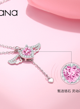 vanaS925纯银女款轻奢小众项链