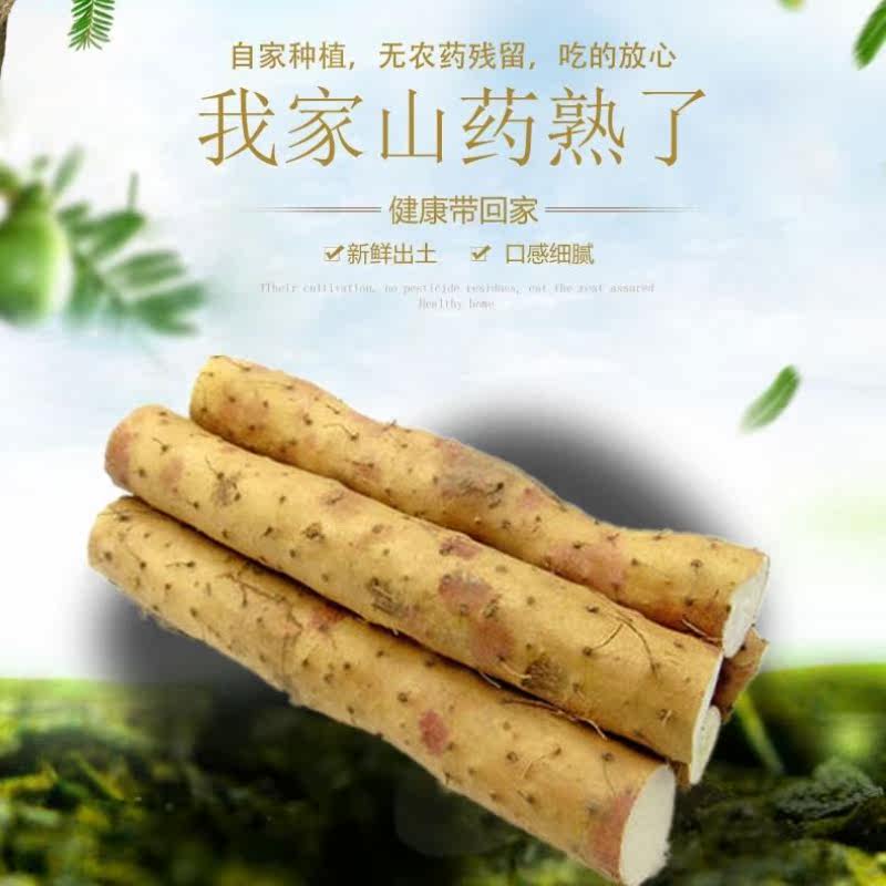  爱禧氏山药