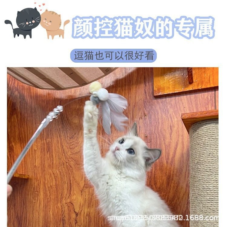 网红猫咪仙女逗猫棒两件套长杆羽毛钢丝玩具耐咬带铃铛自嗨,淘宝优惠券,粉丝福利购,淘宝优惠卷