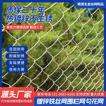 Galvanized Iron Wire Mesh Fence Mesh Steel Wire Mesh Flower Mesh Orchard Breeding Barbed Wire Mesh Protection Chicken Guard Fence Net