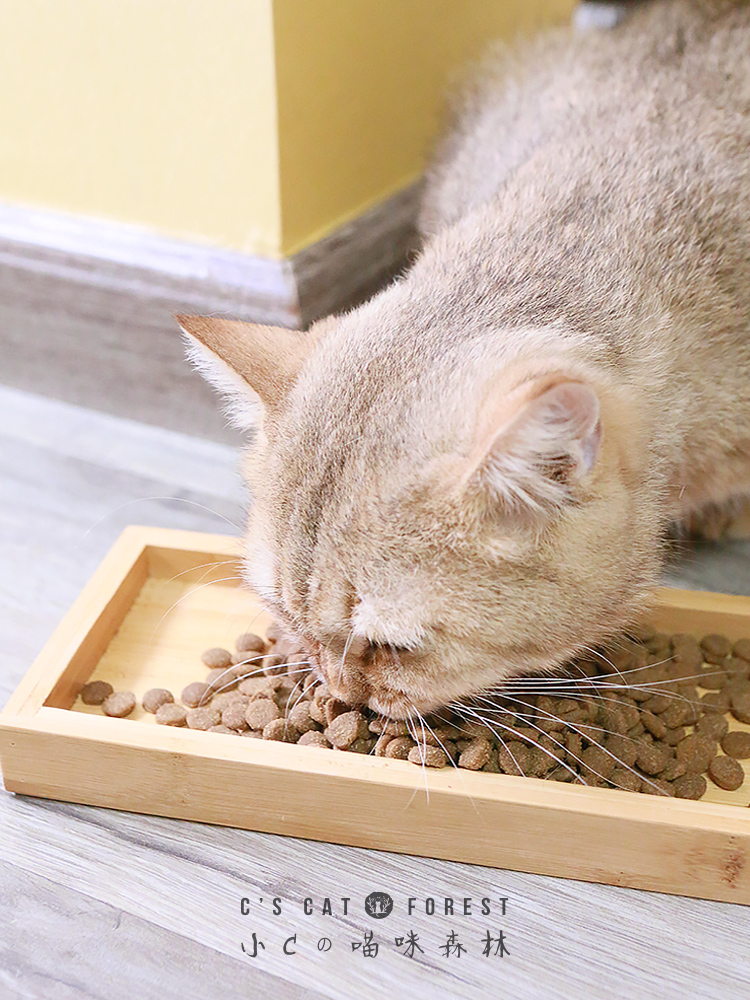 进口solidgold金装素力高金素猫粮天然无谷粮成猫幼<a href=