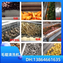 Sea products to impurities cleaning equipment fruit and vegetable automatic cleaning machine taro sweet potato radish wool roller cleaning peeling machine