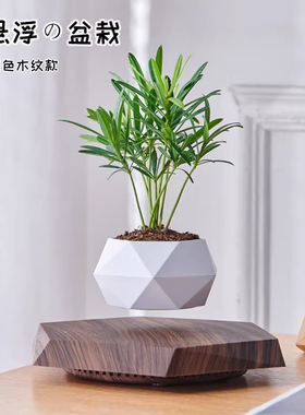 磁悬浮盆栽桌面创意摆件生日礼物