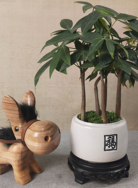 香樟木雕刻马上有钱无忧无虑小犟驴摆件景区热销驴木匠驴当家