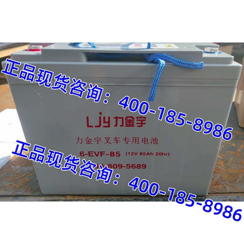 力金宇蓄电池6-DG-150 12V180型 电动叉车 升降平板车 动力水电瓶 - 图2