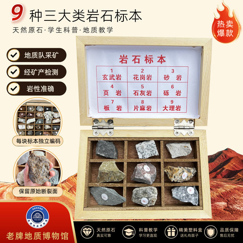 9种三大类岩石头四年级下册小学科学课岩石标本教学实验观察套装 - 图0
