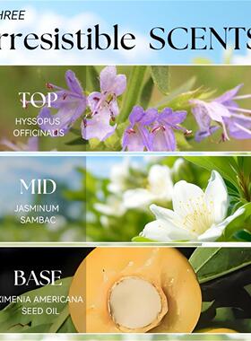 跨境爆品 he irresistible sun 女士头发和身体香水喷雾100ml
