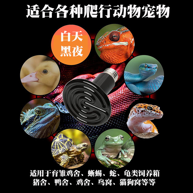 陶瓷加热灯爬宠宠物无光灯加热爬虫陆龟蜥蜴保温灯泡鹦鹉温控夜灯,淘宝优惠券,粉丝福利购,淘宝优惠卷
