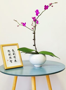 陶瓷花盆出口北欧现代简约创意个性室内设计蝴蝶兰文心兰桌面花瓶