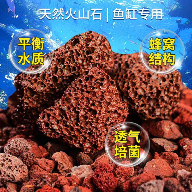 火山石净水滤材透水培菌两不误鱼缸造景天然鱼缸躲避增氧过滤材料,淘宝优惠券,粉丝福利购,淘宝优惠卷