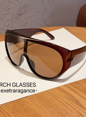 欧美风超大框飞行员遮脸方圆脸墨镜时髦复古高级感小众太阳眼镜女