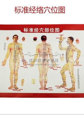 艾草精油老姜按摩身体刮痧绿芝
