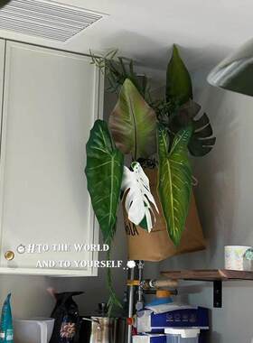 仿真绿植装饰顶管彷真龟背绿植瓦斯表装饰遮挡美化水管遮丑改造