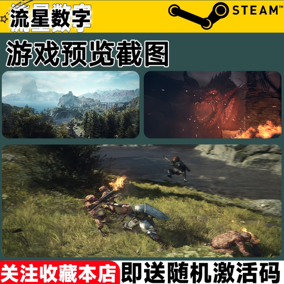 Steam Dragon's Creed 2 Country KEY