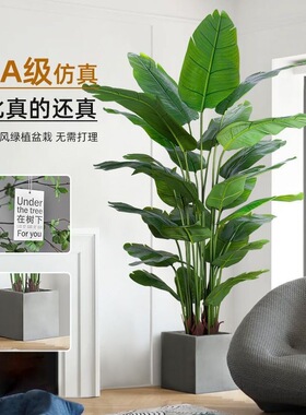 天堂鸟仿真绿植室内盆栽大型仿生植物假树轻奢客厅落地摆件旅人蕉