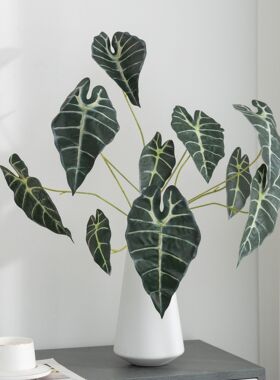 仿真黑孔雀叶海芋叶绿植插花叶材家居装饰彩色芋头叶观音莲叶婚庆
