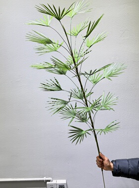 仿真植物金山棕竹榈树扇葵蒲葵树室内客绿植造景装饰落地摆件假树