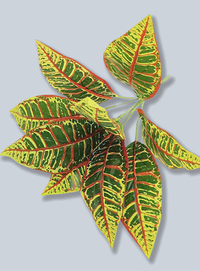 条纹叶龟背叶海芋叶仿真绿植室内家居装饰人造植物插花盆栽