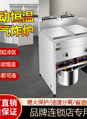 豹鼎商用立式煤气炸炉
