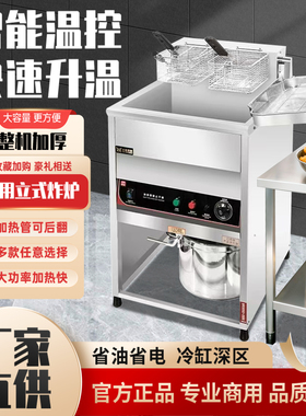 豹鼎炸炉鸡排炸锅恒温炸串机双缸