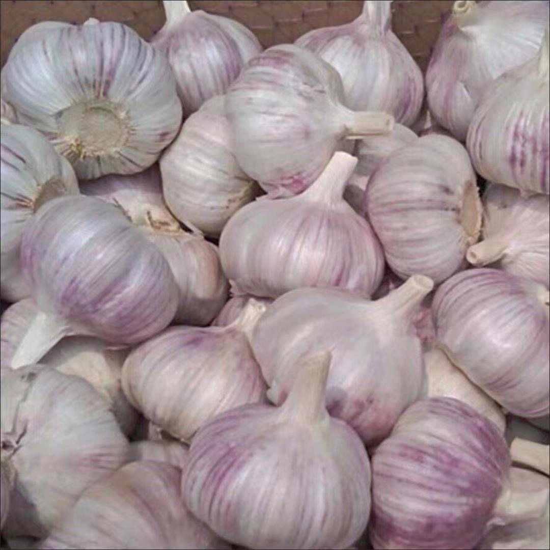 【十足干】干蒜紫白皮大果正宗农家自种干蒜5斤9斤整箱大蒜头蒜干