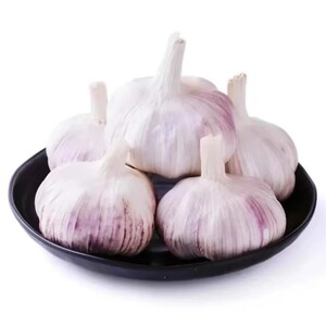 細(xì)節(jié)圖