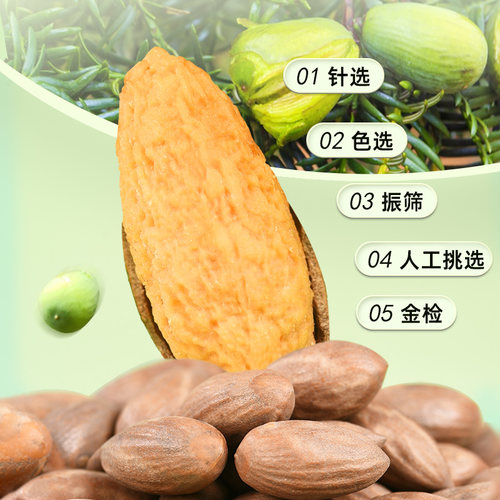 香榧子2025新炒500g罐装老树香榧子诸暨枫桥特产坚果礼盒零食批发 - 图0