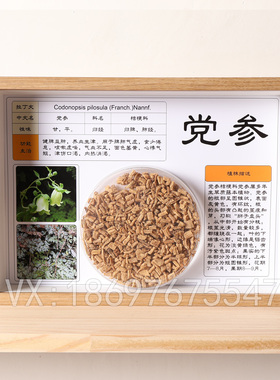 中医标本标本展示材标本装饰画中草药标本相框中医文化墙
