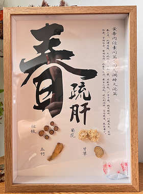 春夏秋冬药材养生馆中医馆文化墙诊室装饰画相框标本装饰标本
