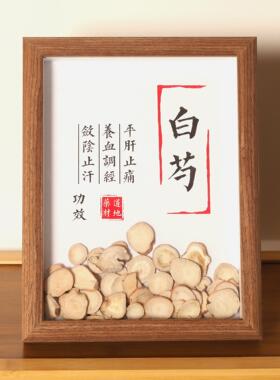 中医文创标本展示材标本装饰画中草药标本相框中医文化墙