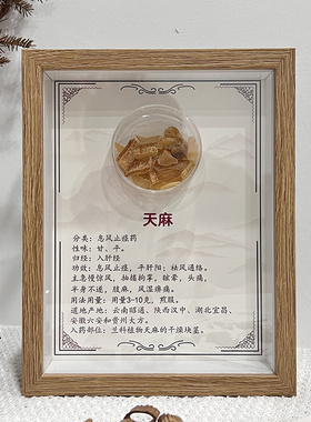 新款标本新品中国道地产区药材分布图相框标本独立装饰画展示