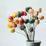[潮菊枝 天然干花干枝田园家居茶室民宿装饰花纯手工多色艺术干花]