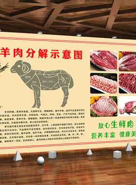 牛肉分解图分割部位图羊肉猪肉分布图示意图背景图装饰画广告定制