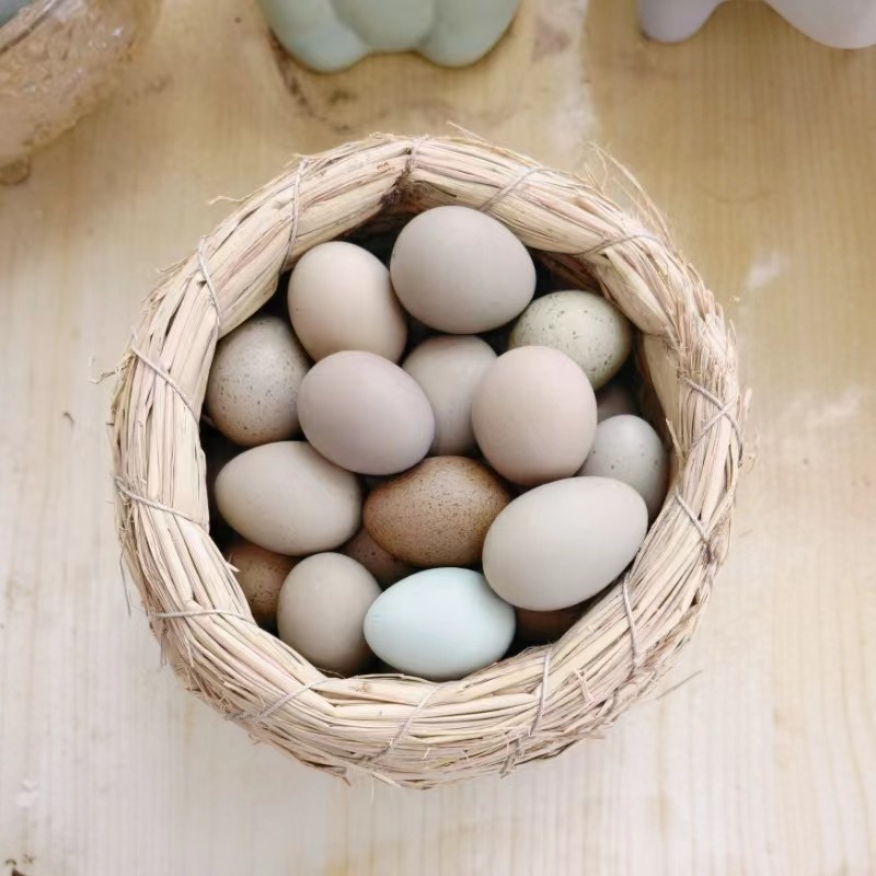 芦丁鸡蛋受精蛋种蛋受精卵可孵观赏活物宠物鸡变异纯白家养礼服鸡,淘宝优惠券,粉丝福利购,淘宝优惠卷