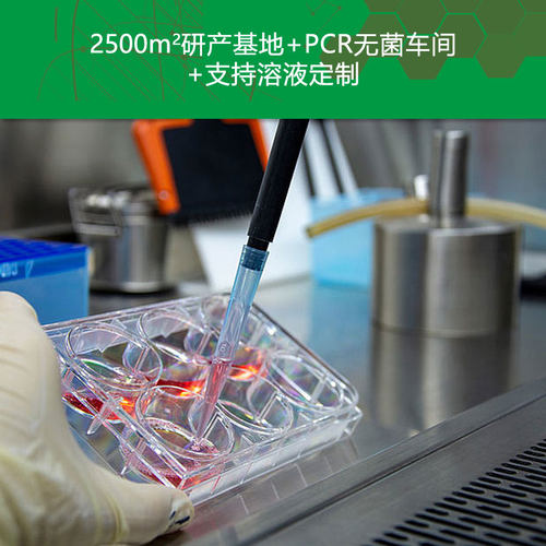 PH1592 线粒体DNA提取试剂盒 套装 科研实验专用 PHYGENE - 图0