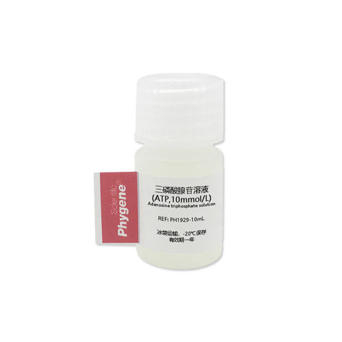 三磷酸腺苷溶液 (ATP,10mmol/L) 10mL 实验试剂 科研专用 PHYGENE - 图3