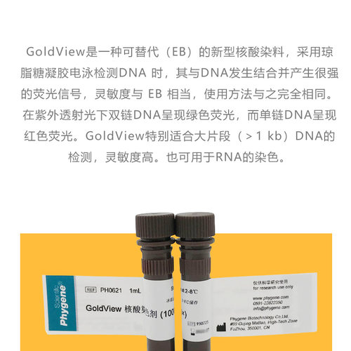 PH0621 GoldView 核酸染色剂 10000× 核酸染料 飞净/PHYGENE - 图1