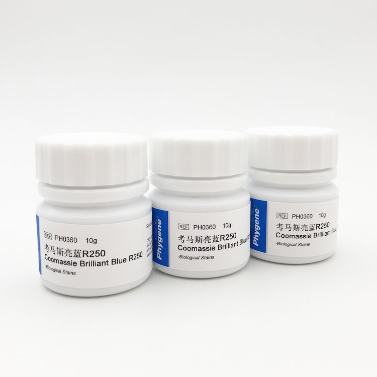 考马斯亮蓝R250 考马斯亮兰R-250 酸性蓝 实验试剂 飞净/PHYGENE - 图2