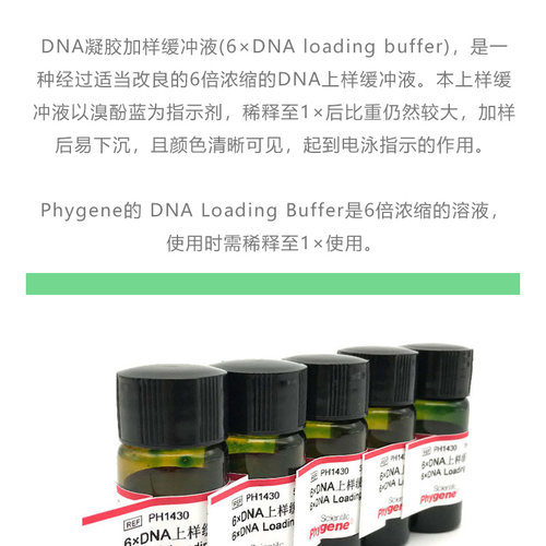 DNA上样缓冲液 (6×) DNA Loading Buffer 5mL [PH1430 PHYGENE] - 图0
