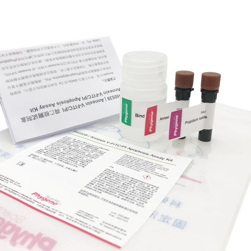 Annexin V-FITC/PI 细胞凋亡检测试剂盒 100T [PH0539 PHYGENE] - 图1