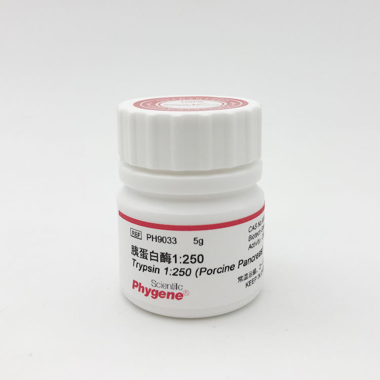 胰蛋白酶 Trypsin 1:250 实验试剂 科研专用 [PH9033 PHYGENE] - 图0