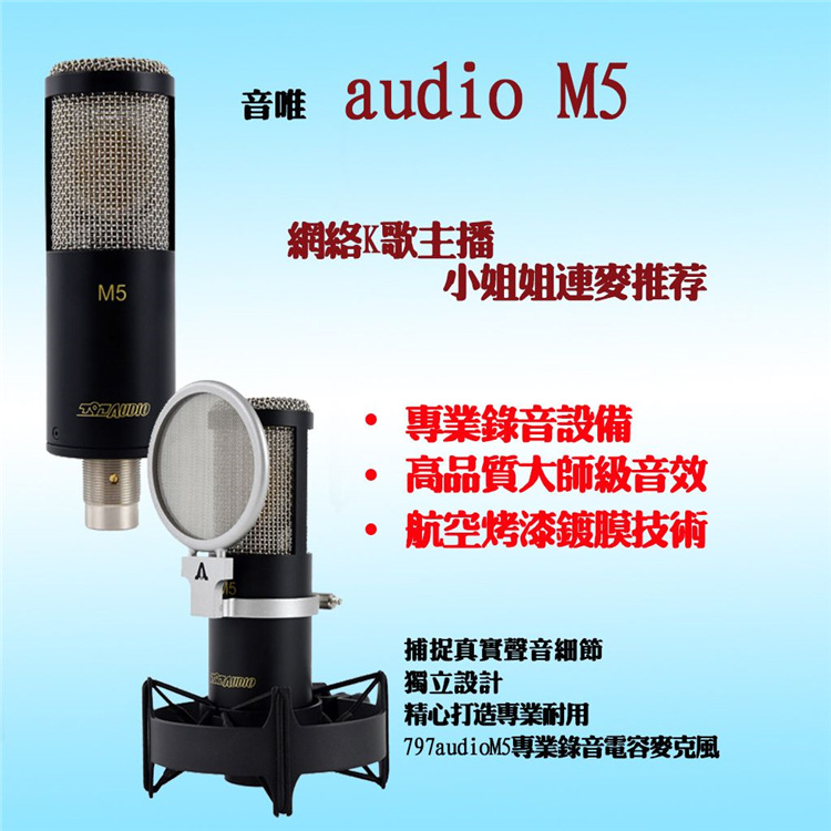 北京797Audio M5专业电容话筒录音YY主播K歌配音直播CV麦克风套装 - 图1