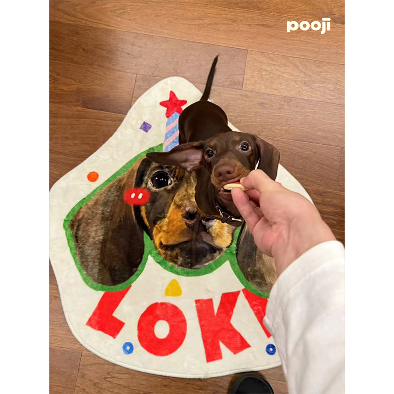 POOJI宠物定制地毯异形卧室客厅房间轻奢猫咪狗狗来图DIY礼物,淘宝优惠券,粉丝福利购,淘宝优惠卷