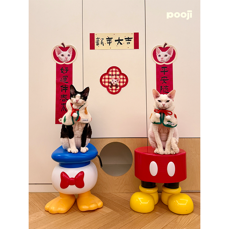 POOJI宠物定制春联对联2026马年新年猫咪狗狗创意来图DIY礼物,淘宝优惠券,粉丝福利购,淘宝优惠卷