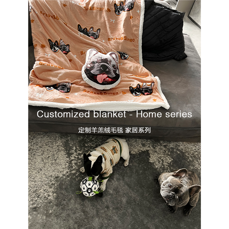 POOJI宠物定制周边毛毯盖毯沙发毯双层羊羔绒猫咪狗狗创意礼物 - 图0