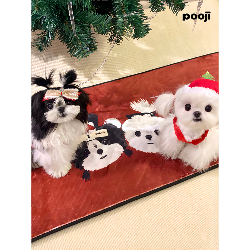 POOJI宠物定制地毯轻奢卧室客厅房间长方形猫咪狗来图DIY礼物,淘宝优惠券,粉丝福利购,淘宝优惠卷