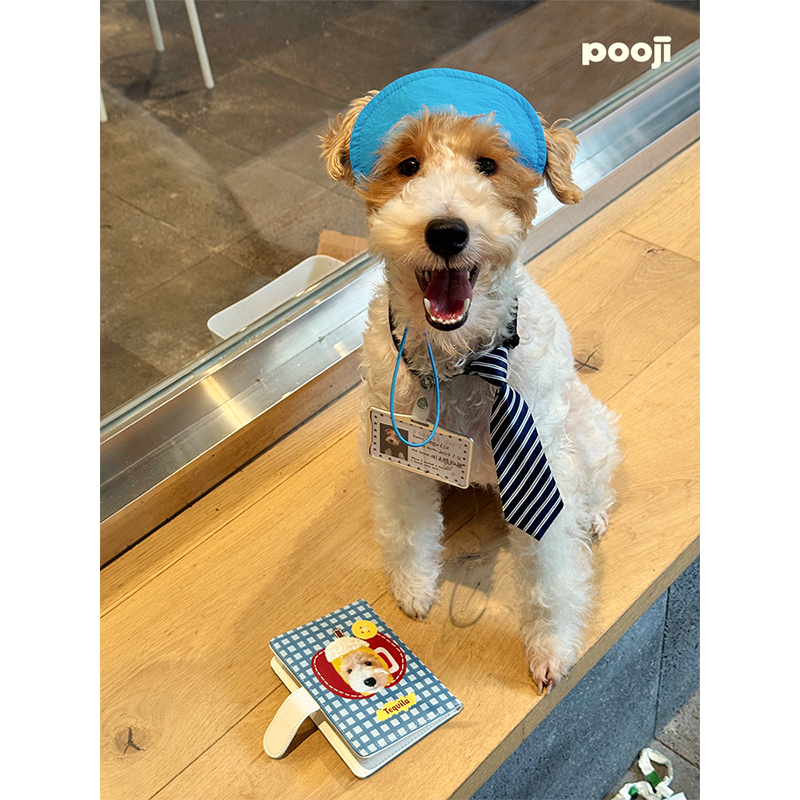 POOJI宠物定制护照夹证件包保护套多功能卡包狗狗猫来图DIY礼物,淘宝优惠券,粉丝福利购,淘宝优惠卷