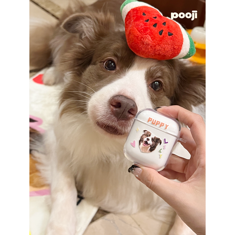 POOJI宠物定制耳机壳保护套透明airpods猫咪狗狗来图DIY礼物,淘宝优惠券,粉丝福利购,淘宝优惠卷